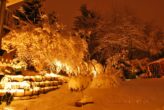 Köln- Bocklemünd, 2 Zimmer Wohnung mit Terrasse und großem Garten zur alleinigen Nutzung - Winterimpressionen